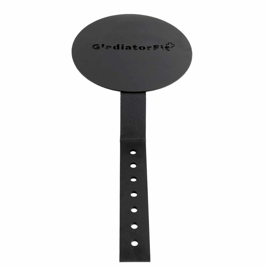 Online Gladiator Steel Target For Medicine Ball And Wall Ball O 40Cm